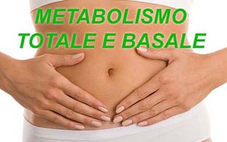 Que es el metabolismo y como afecta nuestra salud