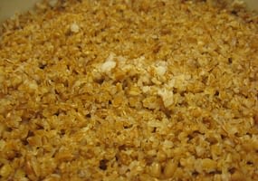Bulgur que es y sus usos en la cocina